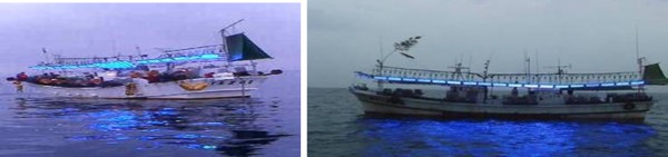 イカ釣り漁船のケース